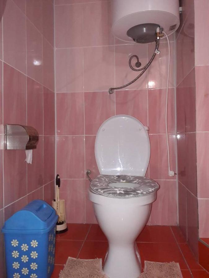Kyzart Guesthouse Bagysh Exterior foto
